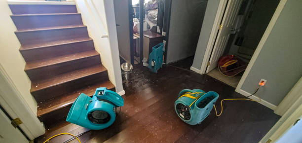Best Basement water damage restoration  in Highland Springs, VA