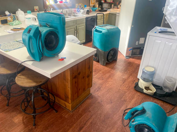 Best 24-hour water damage restoration  in Highland Springs, VA