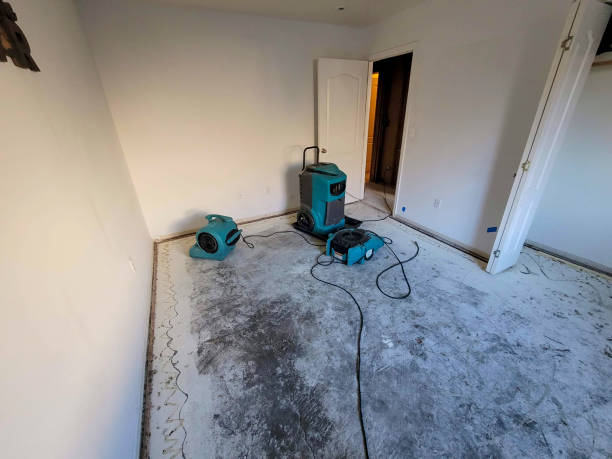 Sewage cleanup and water damage restoration in VA