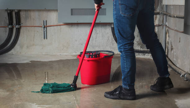  Highland Springs, VA Water damage restoration Pros
