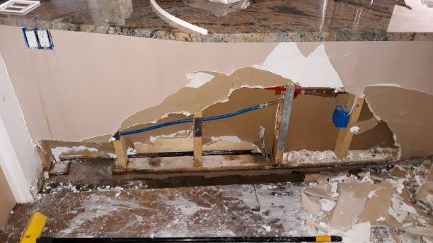 Best Flooded house restoration  in Highland Springs, VA