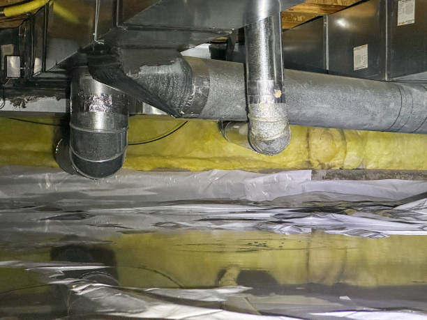 Best Professional water damage repair  in Highland Springs, VA