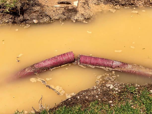Best Sewage cleanup and water damage restoration  in Highland Springs, VA
