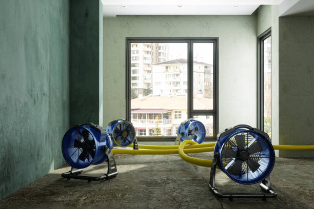 Best Local water damage restoration  in Highland Springs, VA