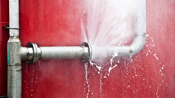 Best Local water damage restoration  in Highland Springs, VA