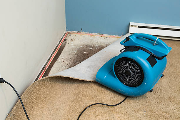Best Water damage contractors near me  in Highland Springs, VA